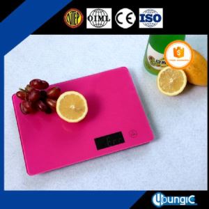 Electronic Taylor Target Food Weighing Scales