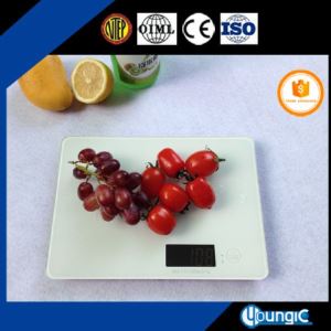 Bluetooth Weighing Scales for Food Measurement
