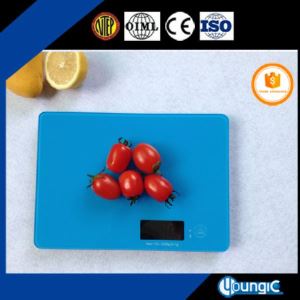Bluetooth Scale for Weighing Food Measures Grams